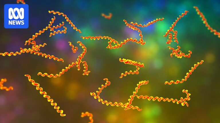 ancient-colombian-skeleton-reveals-new-clues-about-syphilis-origins