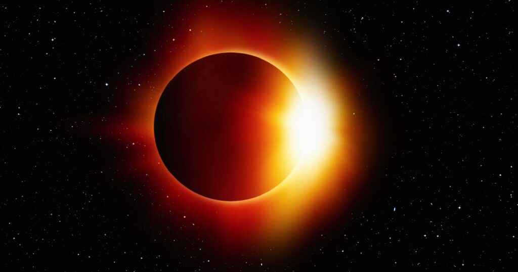 bird-behavior-altered-by-solar-eclipses-new-study-reveals-surprising-insights