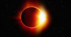 bird-behavior-altered-by-solar-eclipses-new-study-reveals-surprising-insights