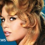 brigitte-bardot-icon-of-french-cinema-and-animal-advocate-dies-at-91