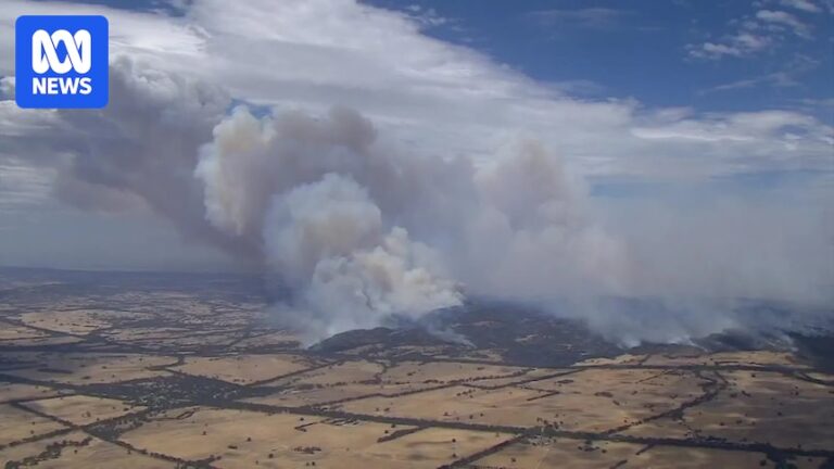 bushfire-smoke-worsens-air-quality-in-victoria-and-nsw-health-warnings-issued