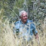 bushfire-threat-looms-over-north-canberra-hospital-amid-high-fuel-loads