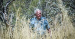 bushfire-threat-looms-over-north-canberra-hospital-amid-high-fuel-loads