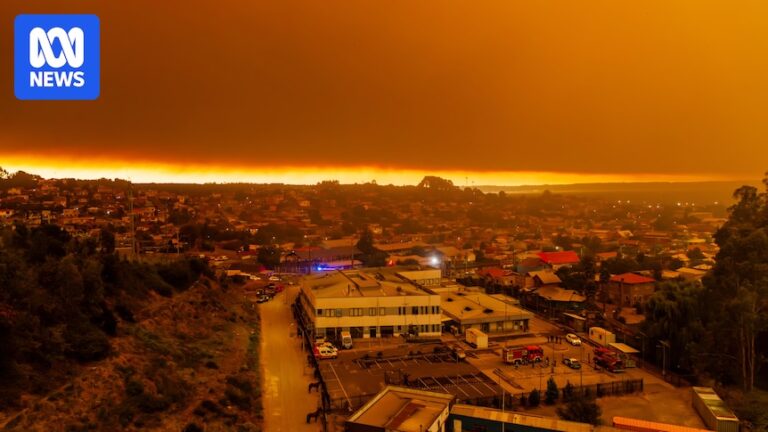 chile-wildfires-claim-lives-amidst-heatwave-state-of-catastrophe-declared