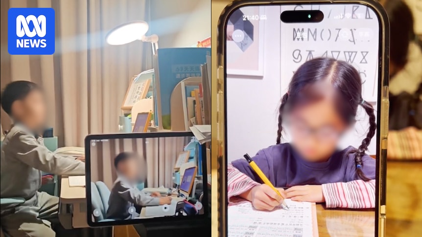 chinese-parents-turn-to-ai-for-homework-help-amid-education-cost-concerns