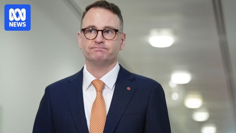 coalition-turmoil-and-calls-for-islamic-teaching-reform-stir-australian-politics