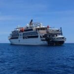 coral-adventurer-stranded-cruise-ship-runs-aground-in-papua-new-guinea