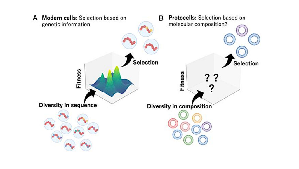 early-cell-membranes-a-key-to-understanding-life-s-origins