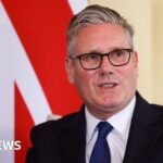 ex-aide-criticizes-politicians-for-surrendering-power-to-regulators