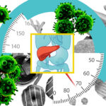 high-fat-diets-linked-to-increased-liver-cancer-risk-mit-study