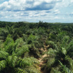 indonesia-s-resource-nationalization-a-bold-move-with-global-implications