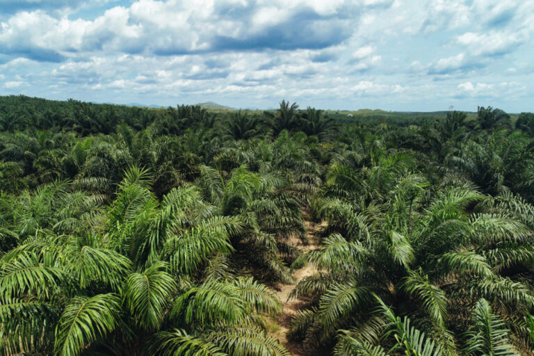 indonesia-s-resource-nationalization-a-bold-move-with-global-implications