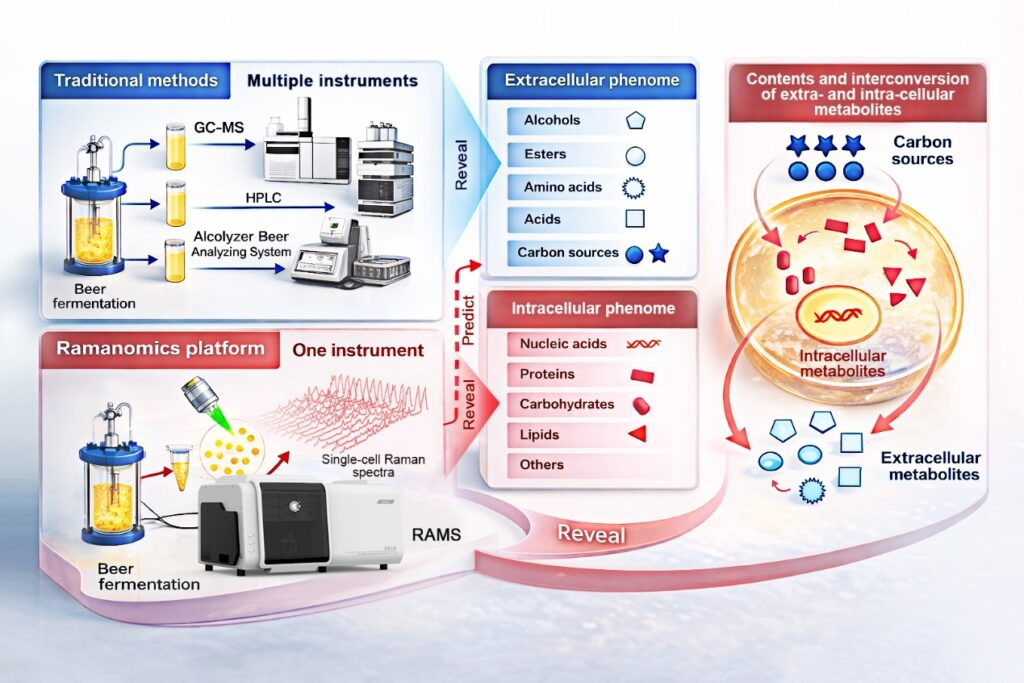 innovative-raman-method-revolutionizes-beer-fermentation-monitoring
