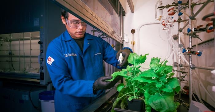innovative-spray-on-polymer-shields-plants-from-bacteria-and-drought
