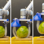 innovative-vine-inspired-robot-gripper-revolutionizes-lifting-tasks