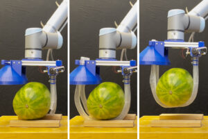 innovative-vine-inspired-robot-gripper-revolutionizes-lifting-tasks