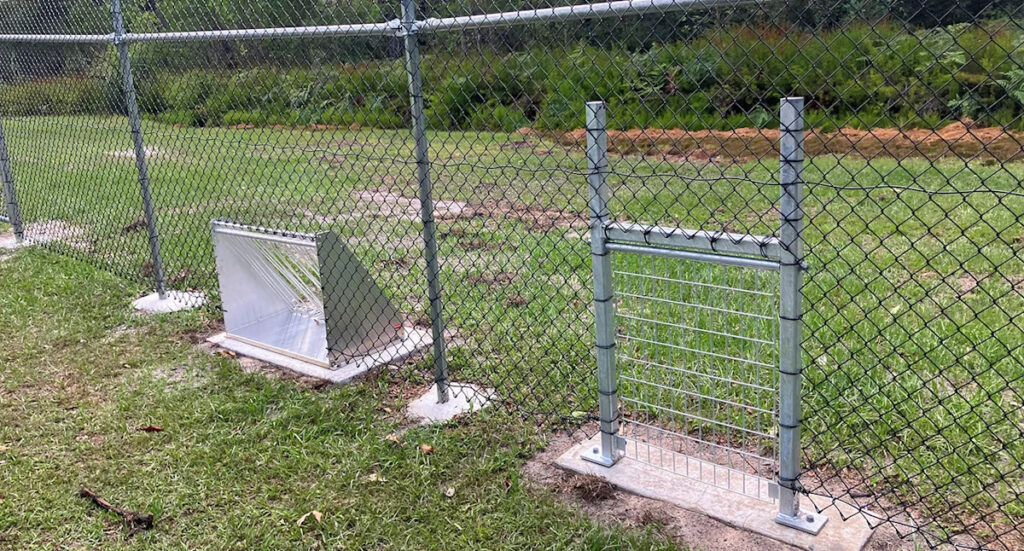 innovative-wildlife-escape-hatches-enhance-road-safety-in-australia