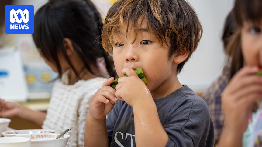 japan-s-childcare-evolution-from-baby-hotels-to-nutritional-excellence