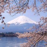japan-s-global-allure-a-cultural-and-economic-phenomenon
