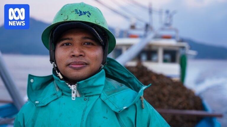 japan-s-oyster-industry-faces-immigration-challenges-amid-aging-population