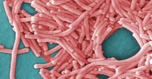 legionnaires-disease-outbreak-expands-in-sydney-s-cbd