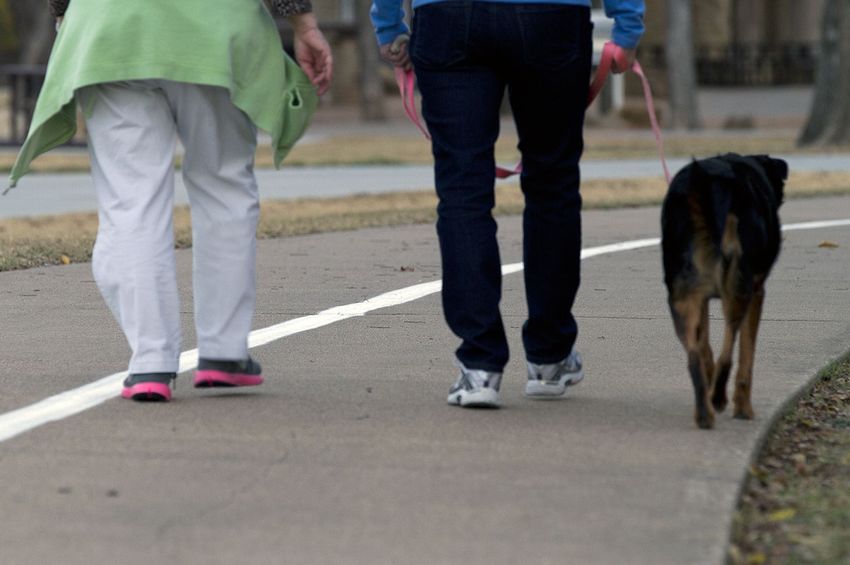 light-physical-activity-significantly-reduces-mortality-risk-in-ckm-syndrome