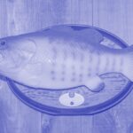 linkedin-ban-leaves-big-mouth-billy-bass-investor-reeling