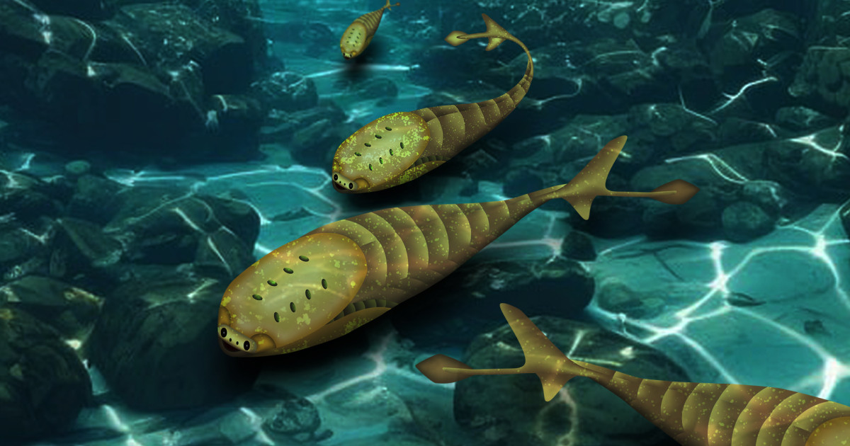 mass-extinction-445-million-years-ago-paved-the-way-for-modern-vertebrates
