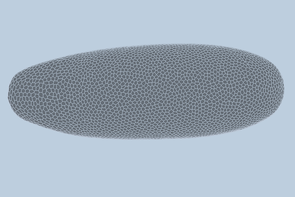 mit-engineers-develop-ai-to-map-fruit-fly-cell-development