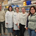 new-pathway-in-prostate-cancer-spread-offers-hope-for-treatment