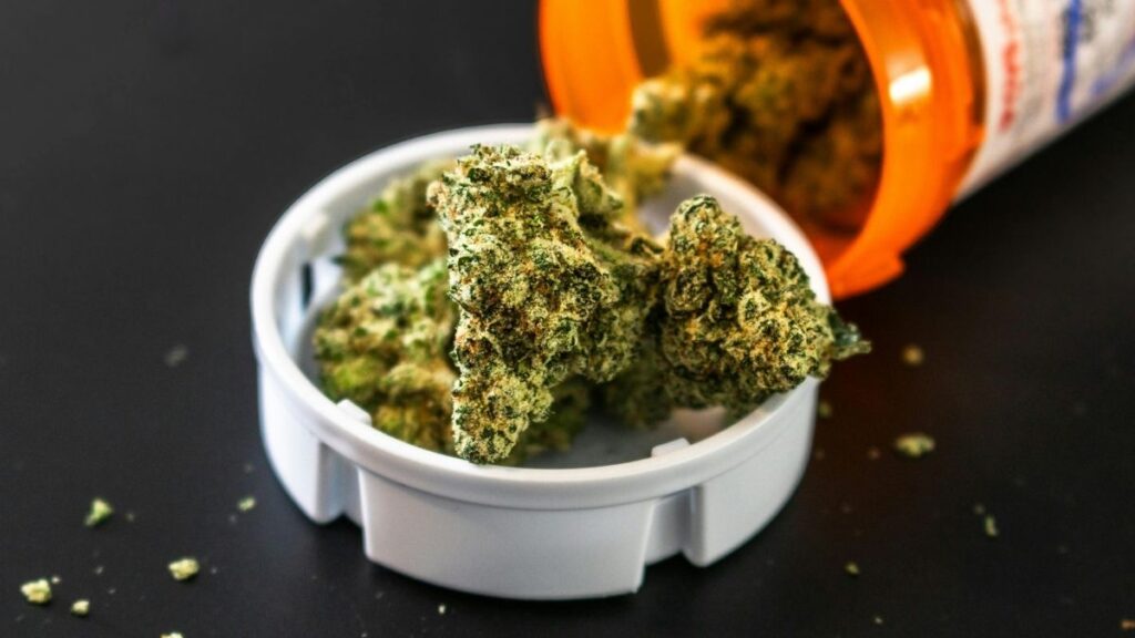 new-study-proposes-standard-measure-for-cannabis-potency