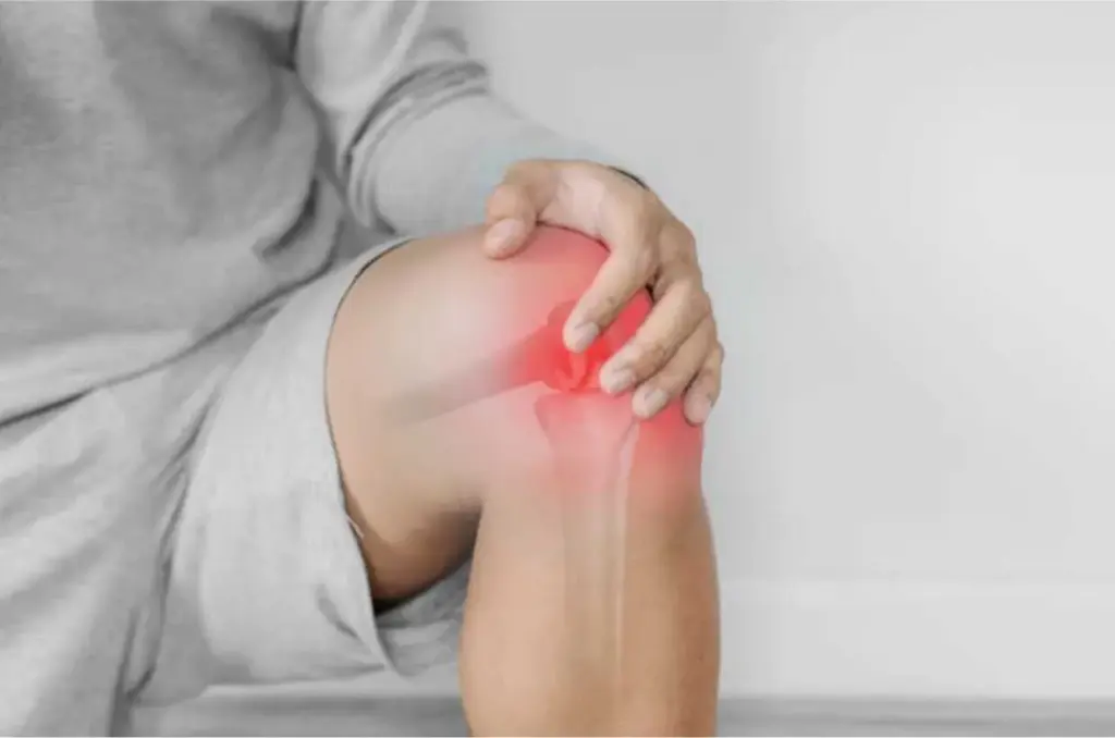 new-study-reveals-potential-for-regrowing-knee-cartilage-by-blocking-aging-enzyme