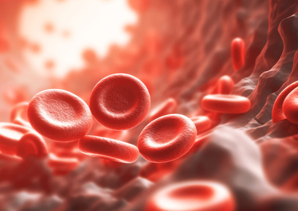 Red Blood Cells 3D Image Concept