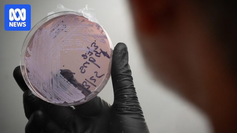 north-queensland-faces-melioidosis-surge-amid-flood-clean-up-efforts