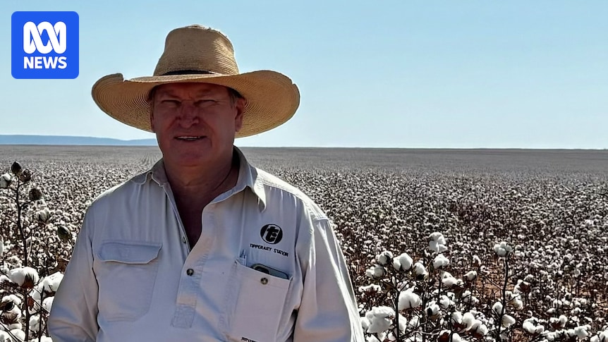 nt-administrator-nominee-faces-backlash-over-past-social-media-posts