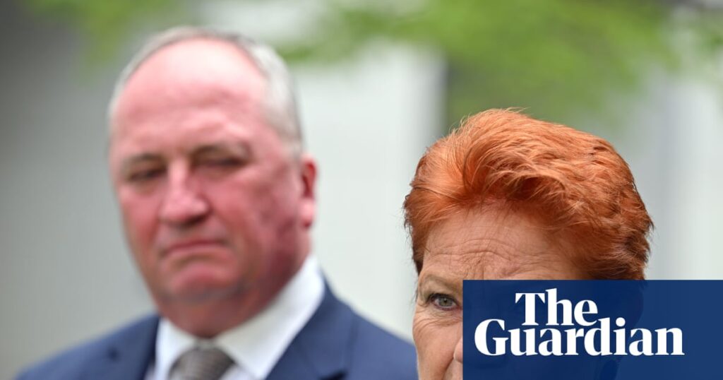 one-nation-s-polling-surge-amid-coalition-turmoil-and-social-tensions