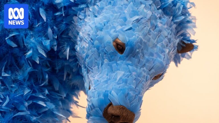 paola-pivi-s-dazzling-exhibition-transforms-art-gallery-of-western-australia