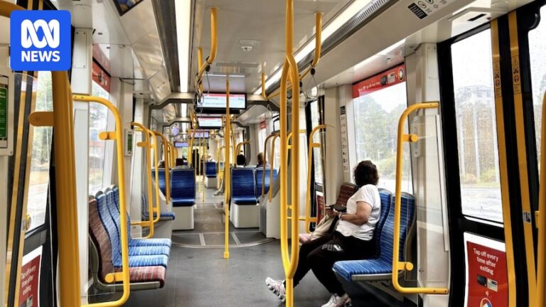parramatta-light-rail-ridership-expected-to-surge-despite-initial-shortfall