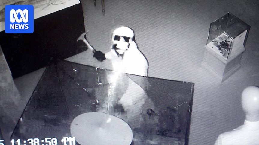 priceless-wool-trophy-stolen-in-daring-heist-at-tasmanian-museum