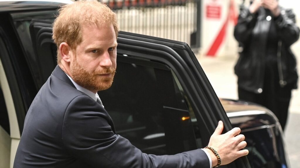 prince-harry-s-legal-battle-a-royal-family-divided