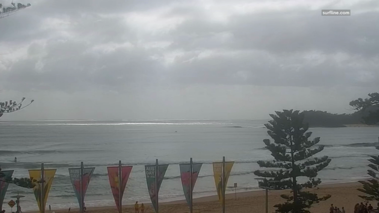 shark-alarm-closes-sydney-beaches-amid-rising-attacks