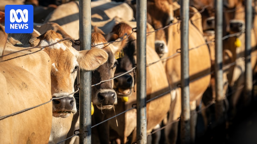 south-australia-legalizes-virtual-fencing-for-safer-bushfire-responses