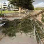 south-australia-s-heatwave-spurs-surge-in-tree-related-emergencies