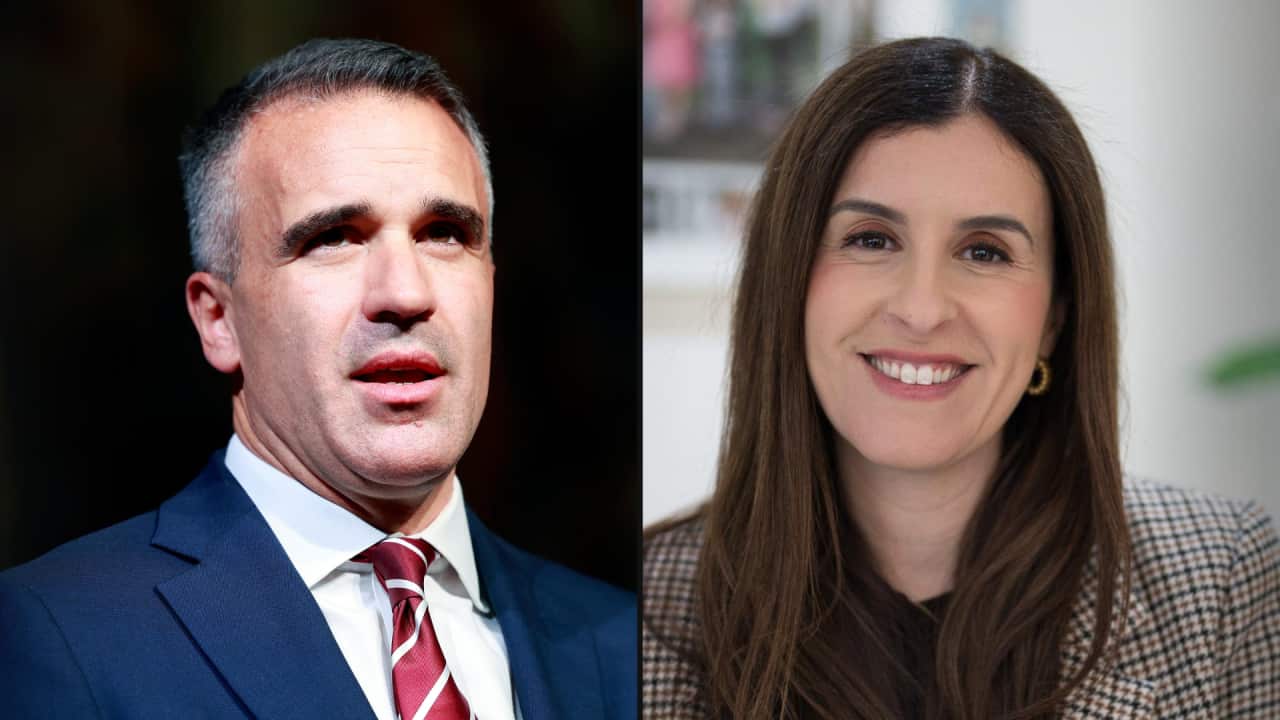 south-australian-premier-faces-defamation-claim-from-randa-abdel-fattah