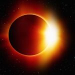 study-reveals-birds-varied-reactions-to-total-solar-eclipses