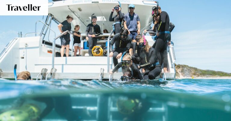 swimming-with-dolphins-a-tale-of-two-experiences-in-mauritius-and-australia