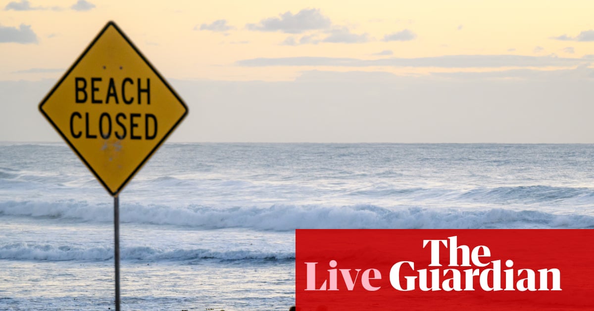 sydney-beaches-close-amid-shark-sightings-honours-council-highlights-gender-imbalance