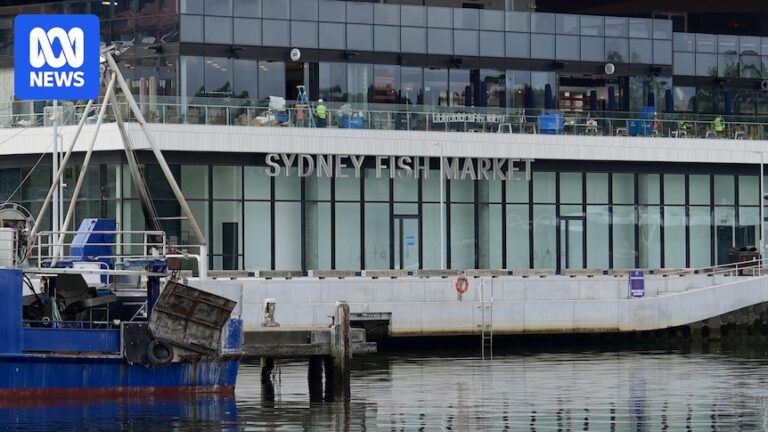 sydney-s-800m-fish-market-opens-a-new-era-on-the-harbour