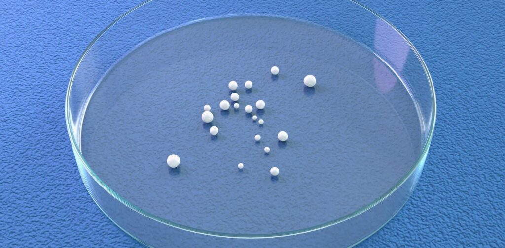 the-ethical-dilemma-of-brain-organoids-science-outpaces-regulation