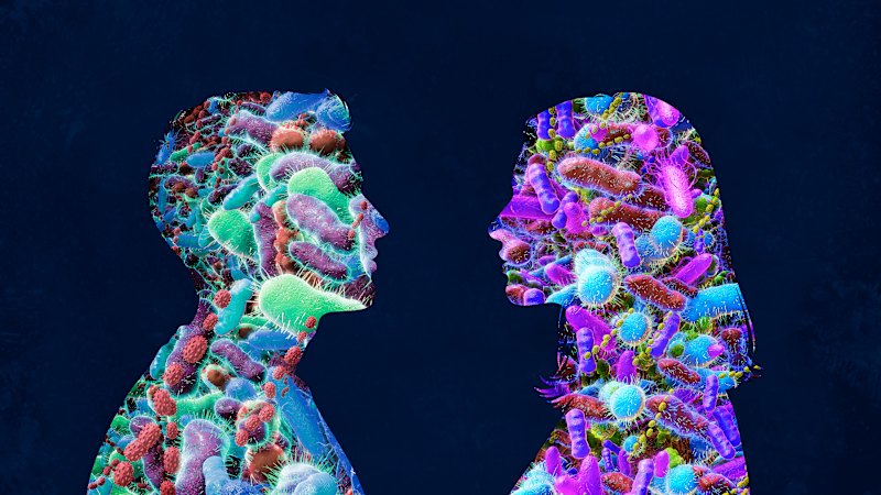 the-social-biome-a-new-approach-to-combating-loneliness-